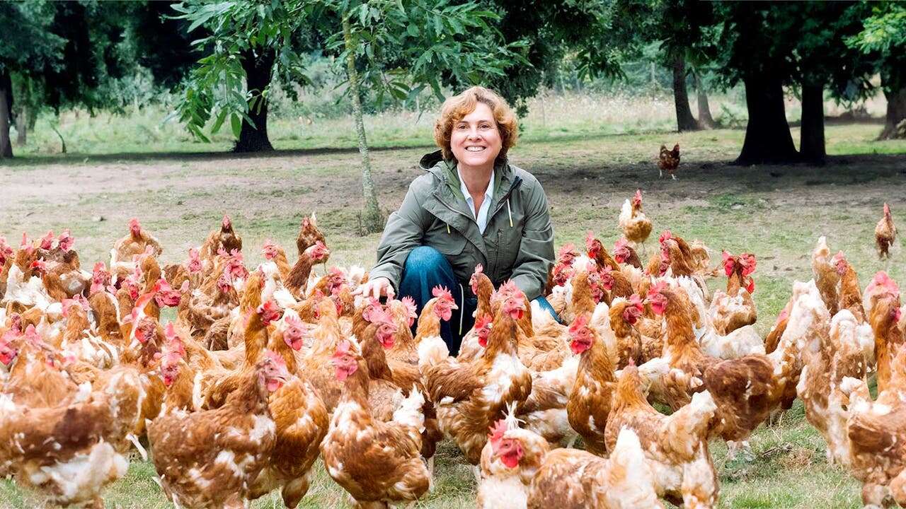 “Fuimos los primeros en criar gallinas en libertad, y hemos mejorado su bienestar en muchos otros aspectos“