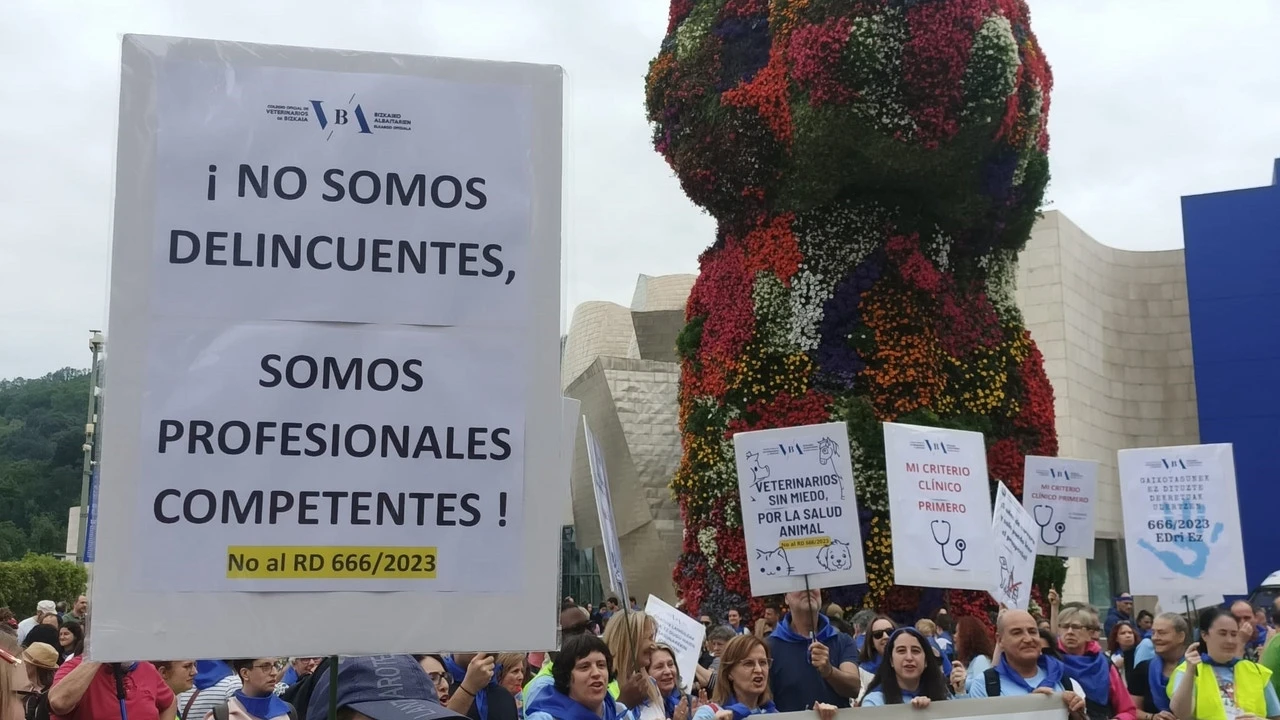 Los veterinarios piden unas leyes «más coherentes» para su profesión