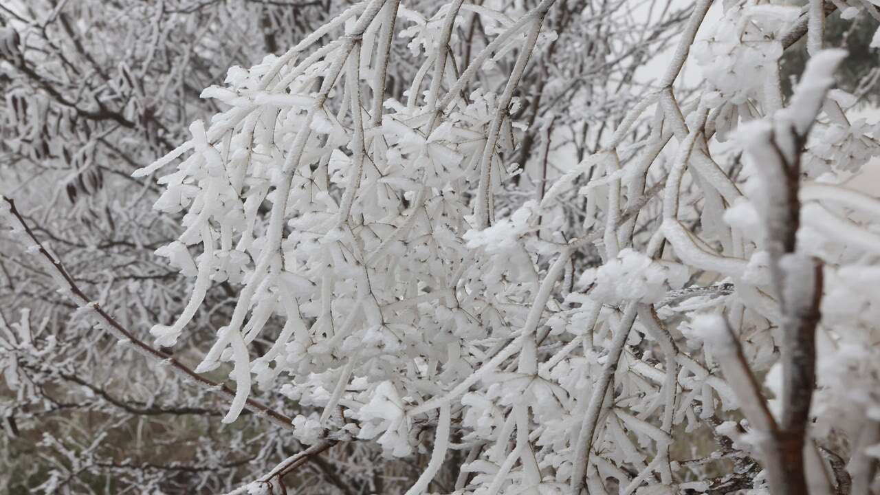 Una masa de aire polar congelará España: la AEMET avisa por temperaturas bajo cero y nieve en estas zonas