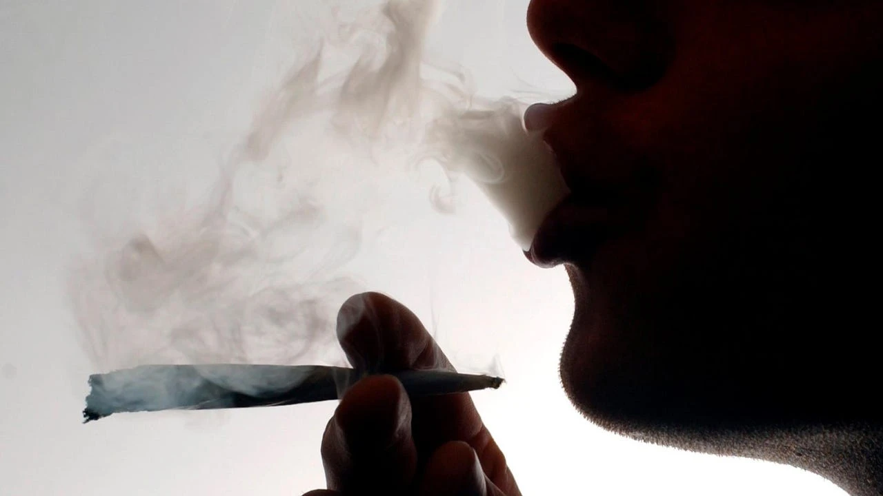 Demuestran que consumir cannabis en la adolescencia combinado con una infección durante el embarazo eleva el riesgo de esquizofrenia