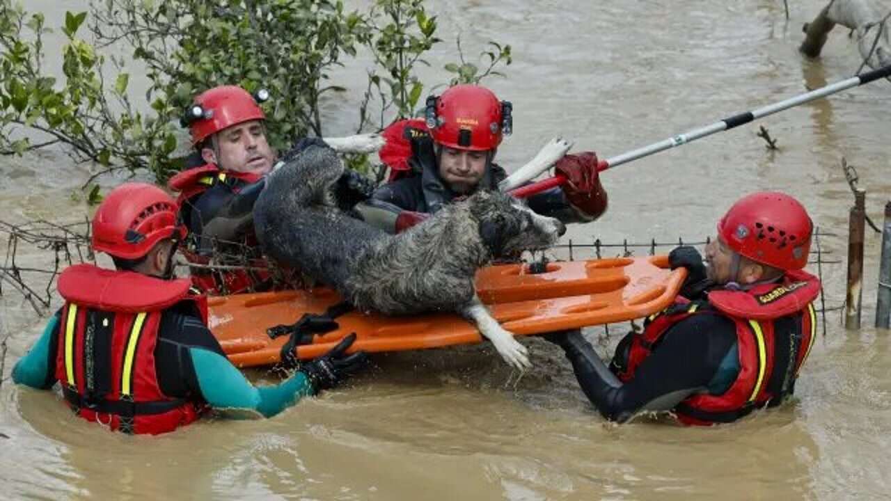 Las recomendaciones de la Guardia Civil por si te sorprende un desbordamiento de un río: evita hacer desplazamientos innecesarios