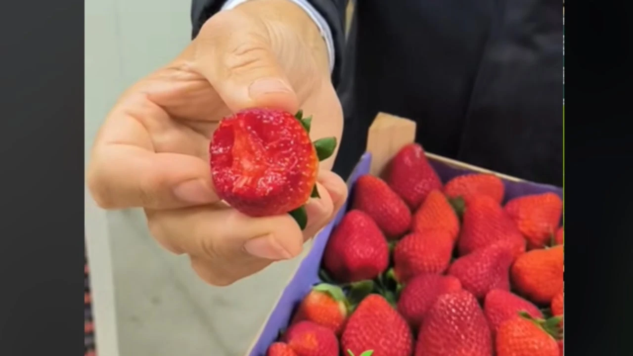 Andrés de la Cruz, empresario de Frusur, sobre las fresas de Huelva: 