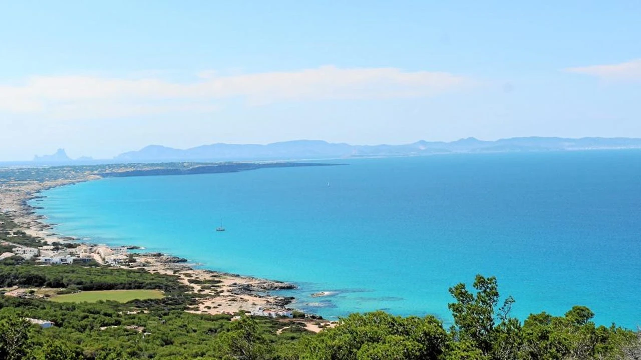Baleària y Nature & People Foundation presentan un proyecto para reducir la temperatura en Formentera con la plantación de 500.000 árboles