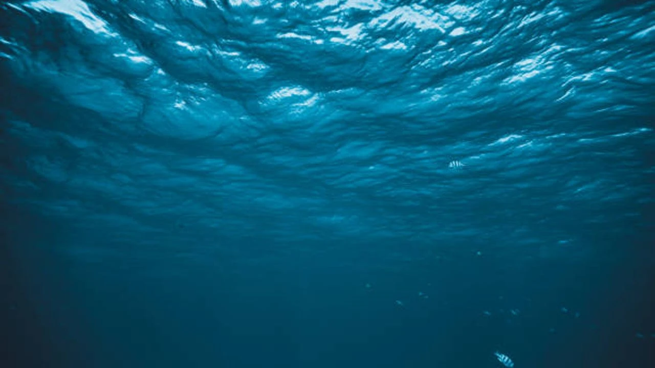 Posible hallazgo del naufragio del histórico barco español La Fortuna en Carolina del Norte