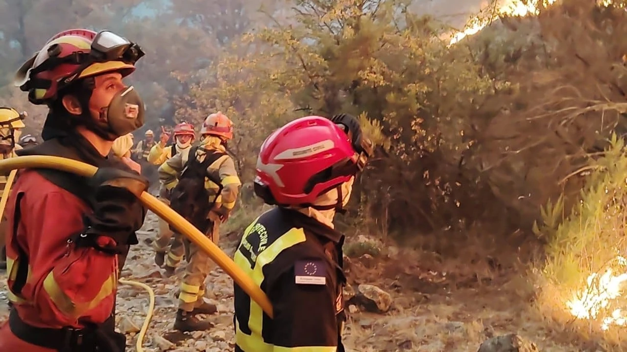 El 112 advierte de que esta planta muy común en los jardines de España 