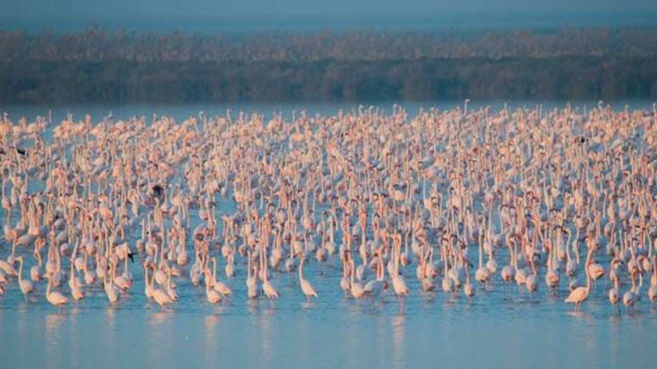 Transformar la industria agrícola: el gran reto medioambiental para 2025