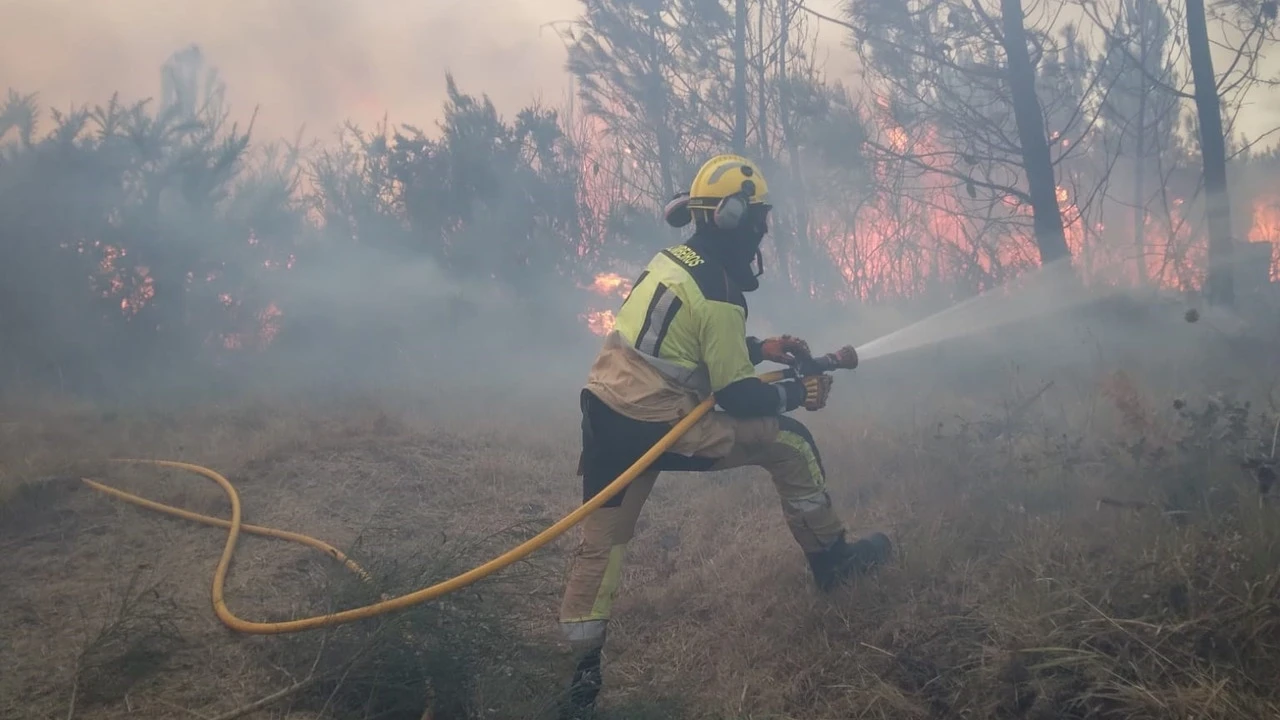 El PSOE, a lo suyo: lleva al Senado medidas de apoyo al sector forestal