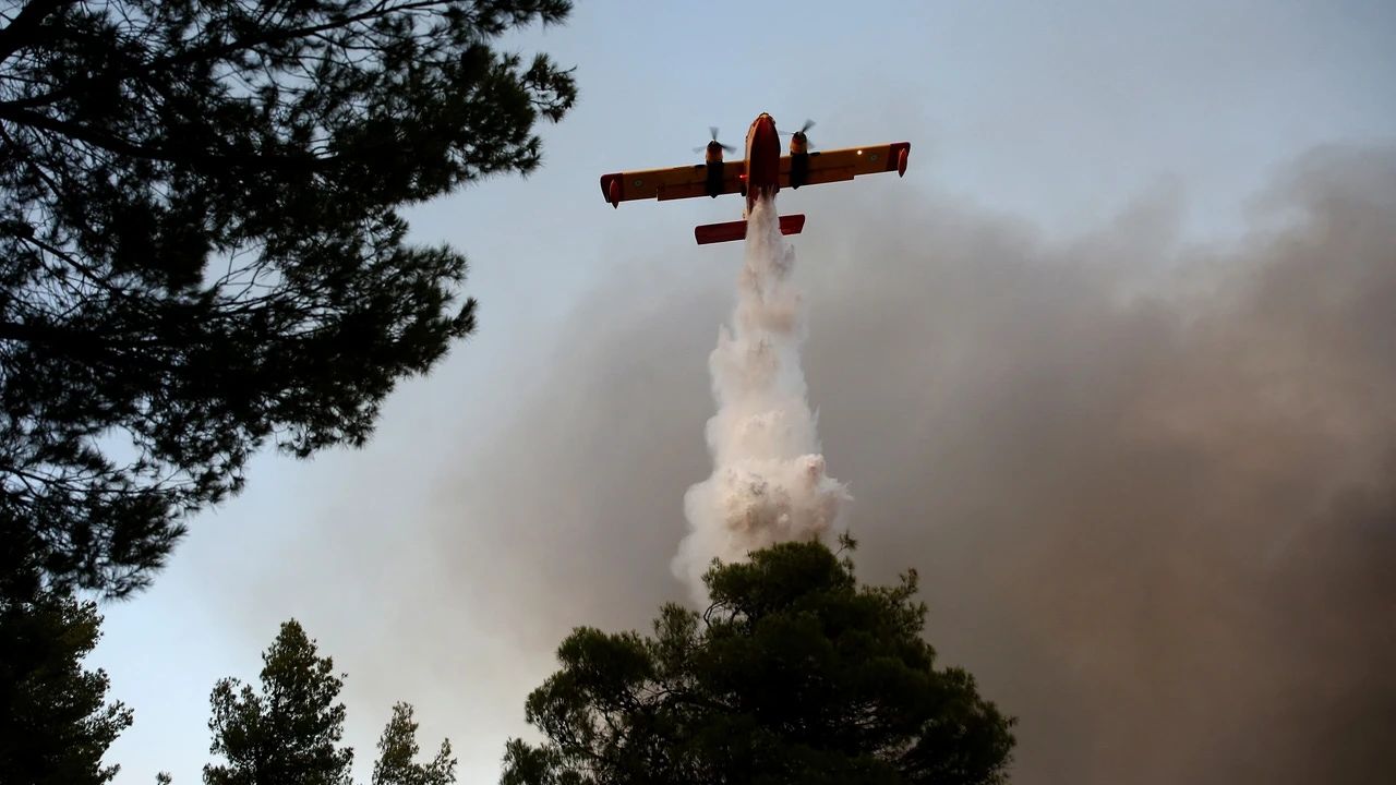 Incendio forestal en Tarragona, en directo hoy: hectáreas quemadas, situación del fuego y última hora