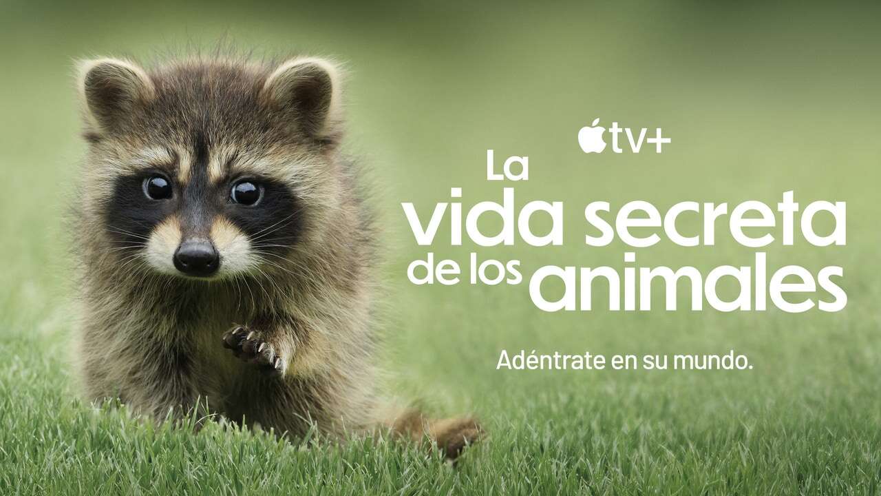 Apple TV+ presenta el tráiler de “La vida secreta de los animales”