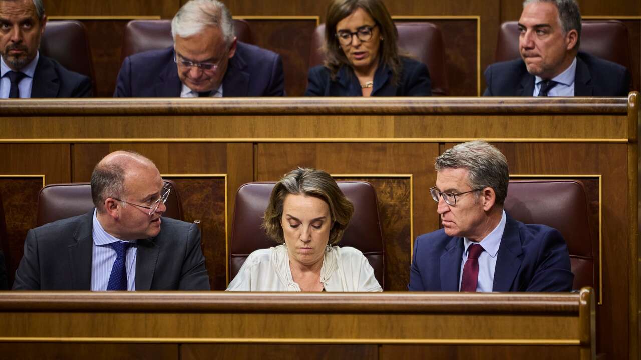 El PP quiere obligar por Ley al Gobierno a cumplir con todas las iniciativas aprobadas en el Congreso