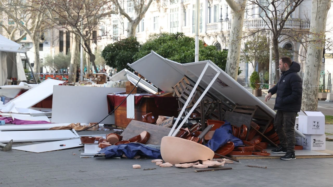 Árboles caídos, carpas volando y el desplome de muros, entre las consecuencias del temporal