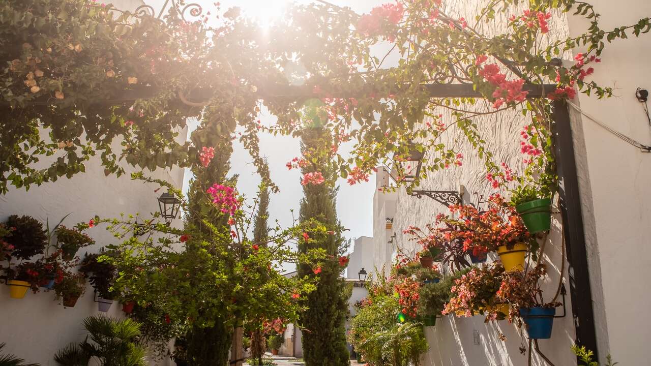 Estepona, el jardín urbano abierto al Mediterráneo