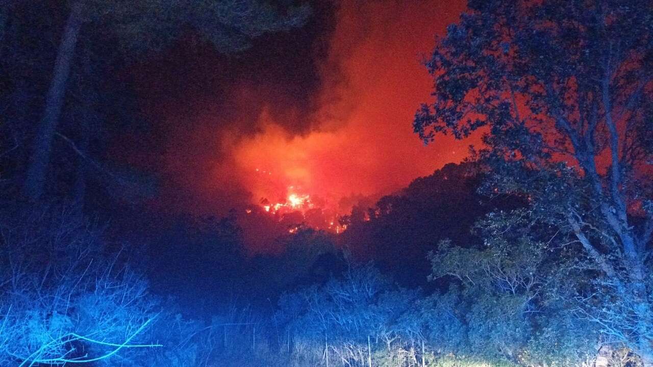 Declarado un incendio forestal en el municipio mallorquín de Andratx