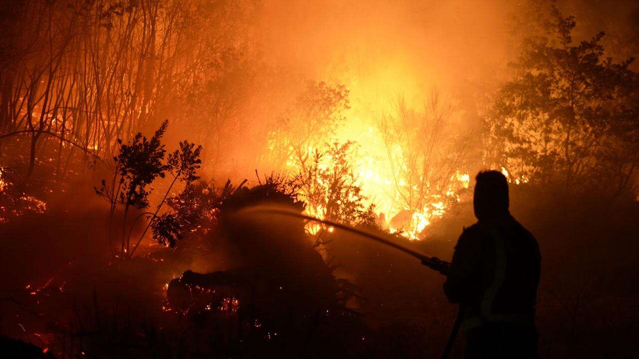 Los incendios forestales empeoran el calentamiento de la superficie terrestre