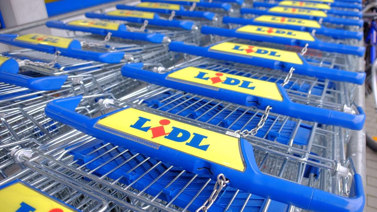 Este semana llega a Lidl su producto más demandado: cuesta menos de 17 euros