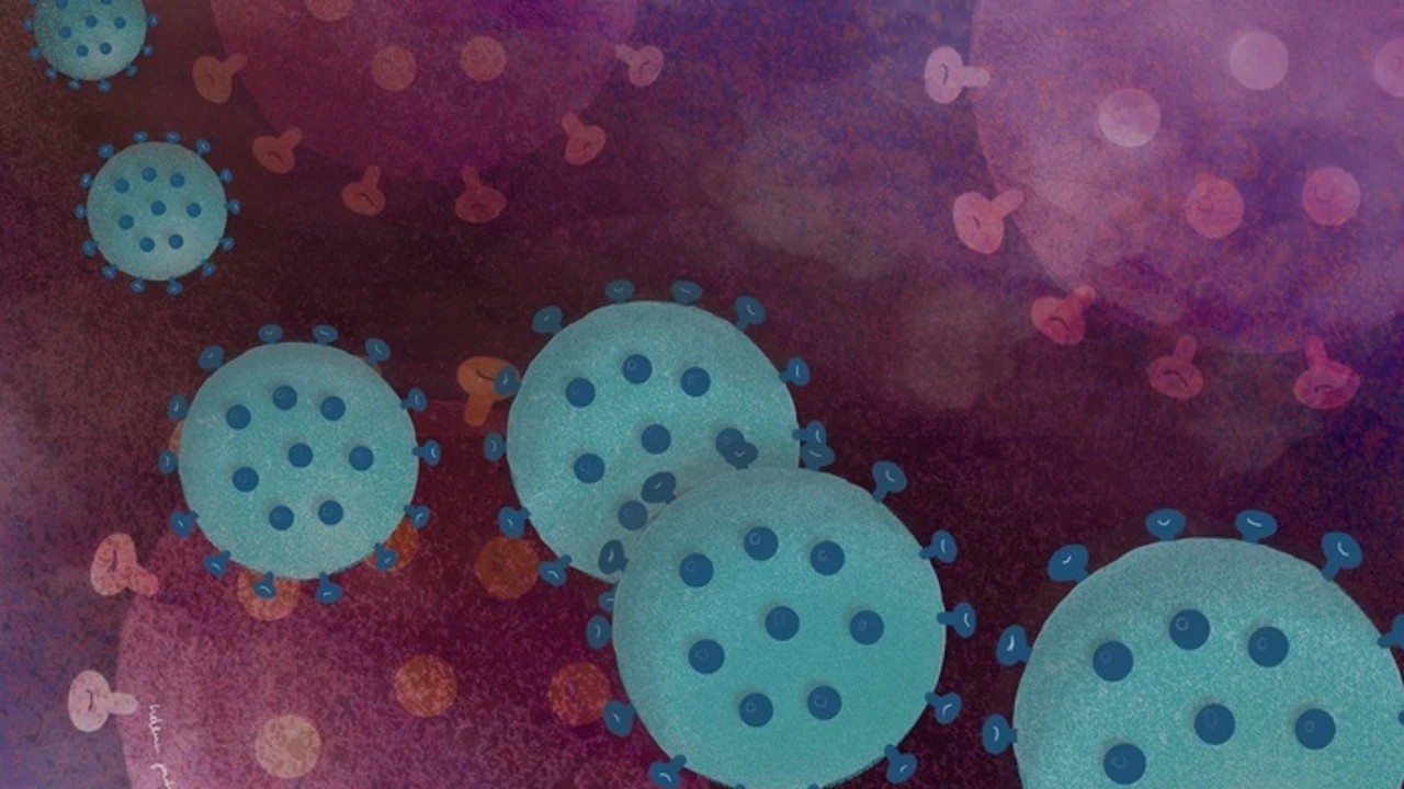 Una súper molécula combatirá todos los coronavirus futuros