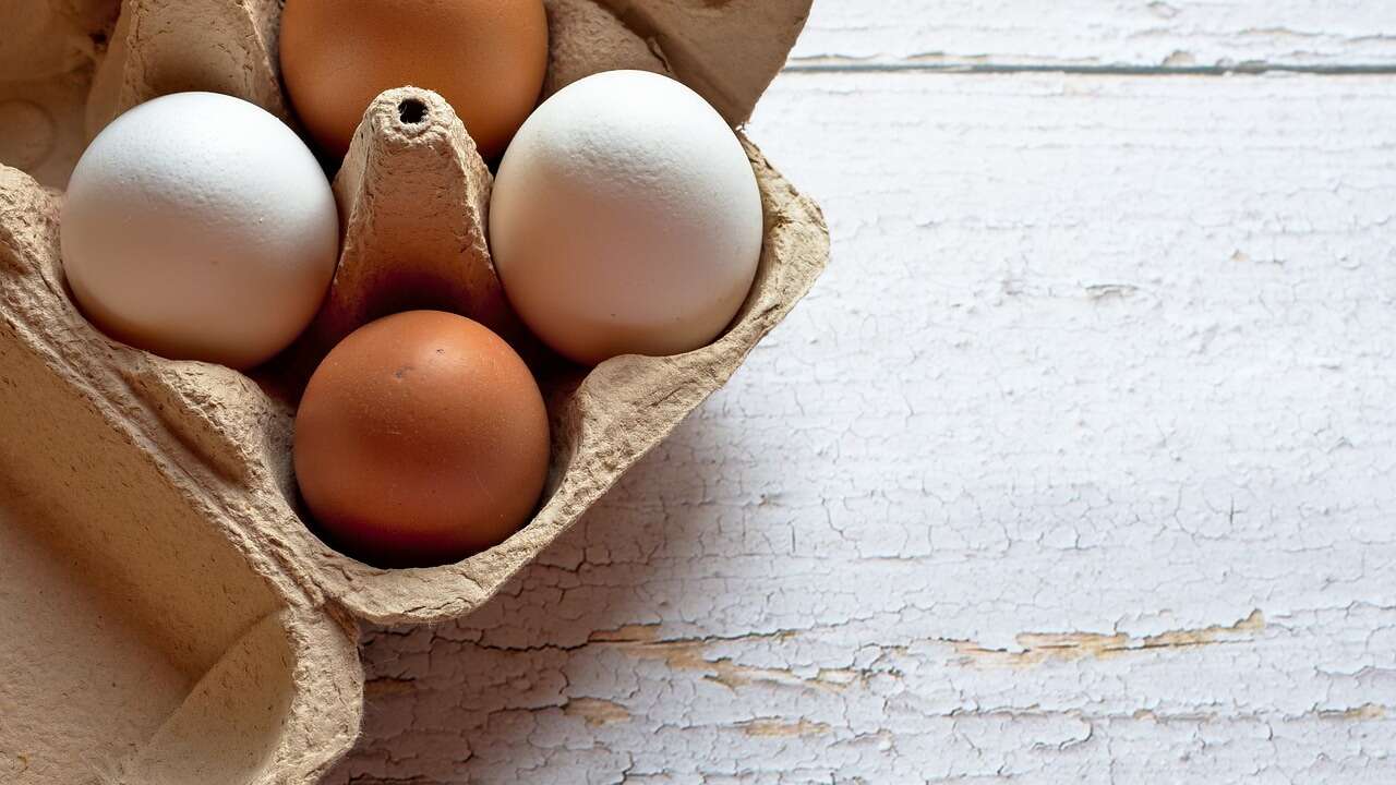 Médicos de Harvard informan: cuántos huevos hay que comer al día para llevar una dieta saludable