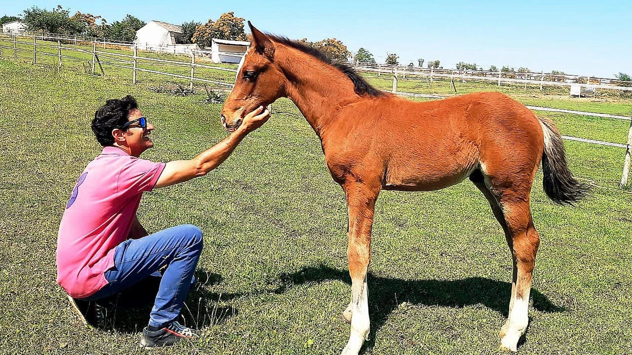 Farmacéutico y criador de caballos de alta competición