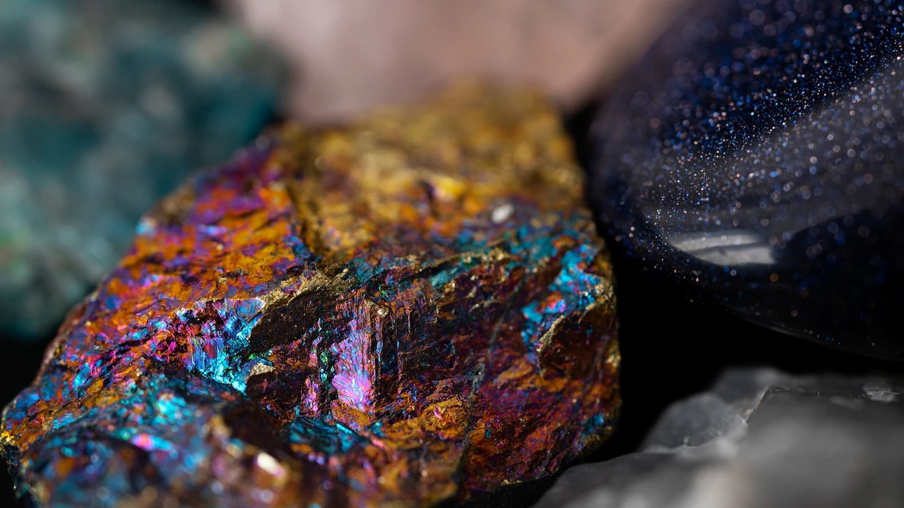 Cava para plantar un árbol y descubre piedras fluorescentes: “el museo se llevó todo sin compensación”