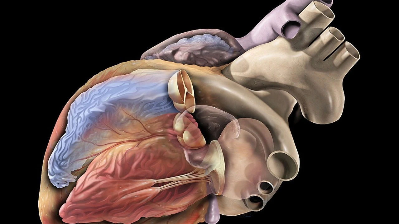 Aviso científico: un medicamento muy popular en España, relacionado con riesgo de paro cardiaco