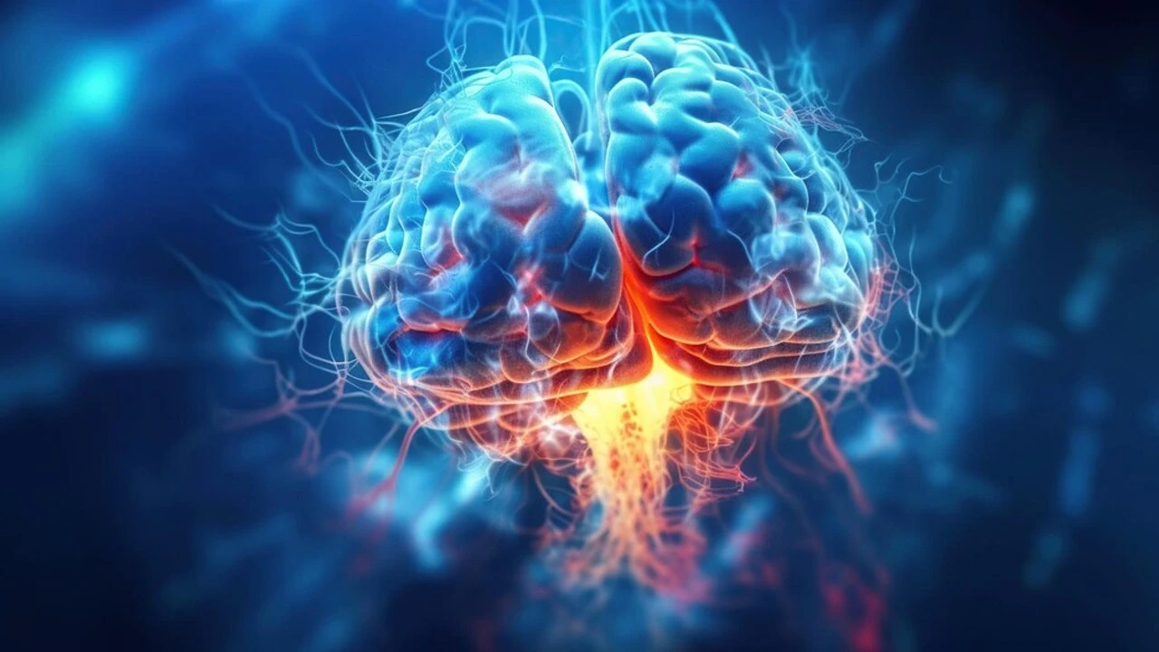 El cerebro humano contiene una cucharada de microplásticos: cómo llegan y qué efectos tienen
