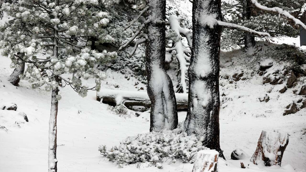 Una masa de aire frío dejará nevadas de hasta 30 centímetros en estas zonas España