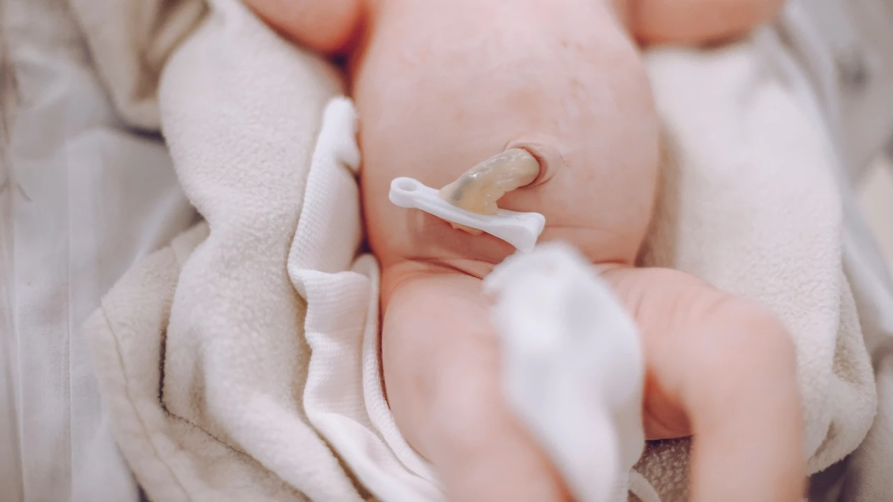 El ADN del cordon umbilical, ¿una bola de cristal para predecir enfermedades?