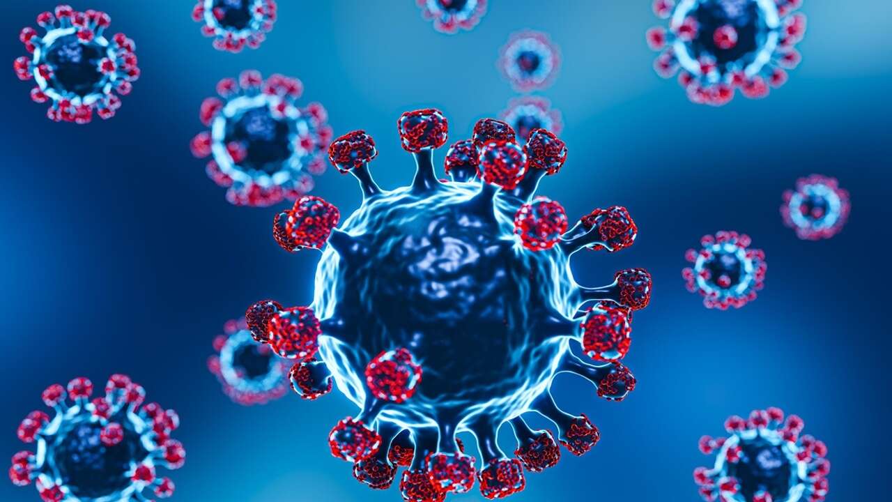 Un antiviral de amplio espectro contra covid y virus sincitial, y eficaz tras la infección