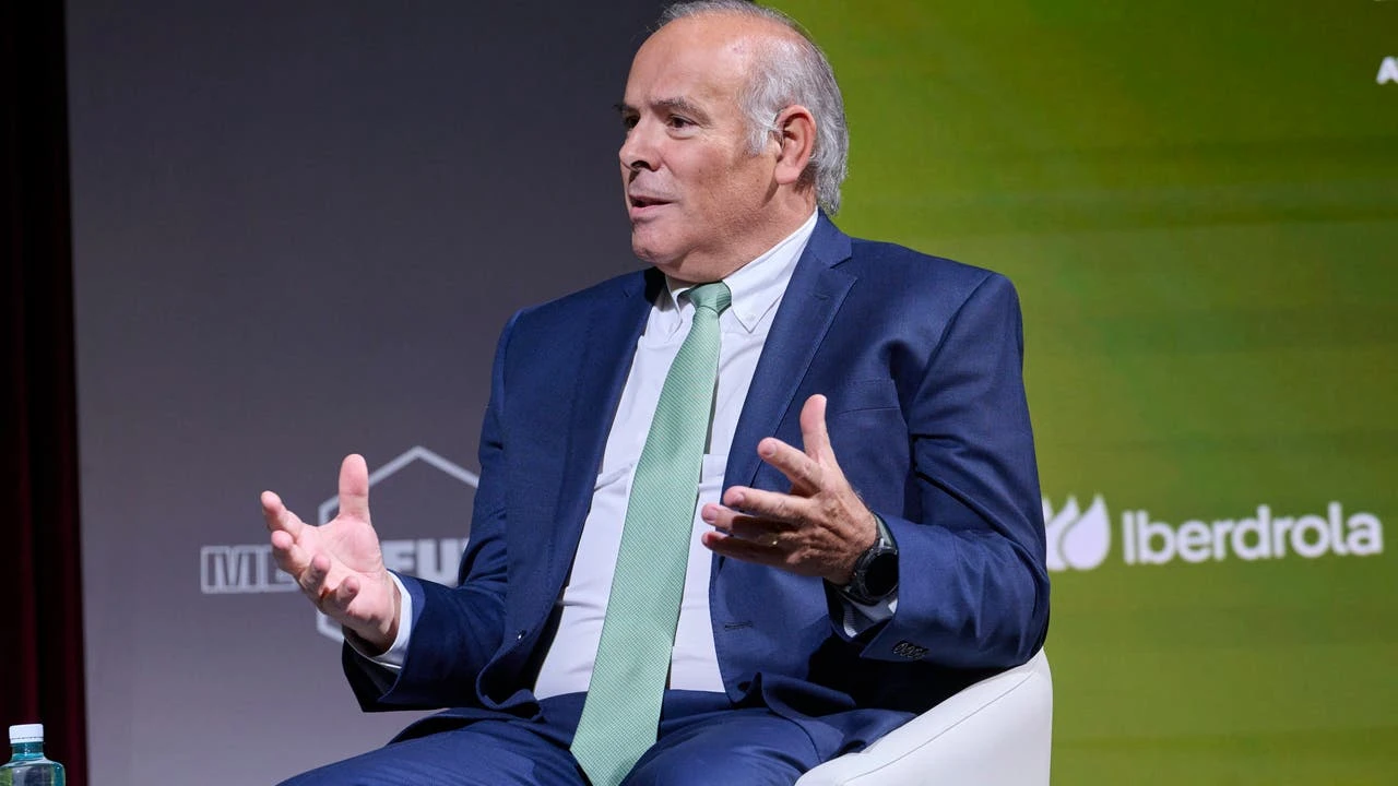 Guerra total de Iberdrola con Red Eléctrica: 