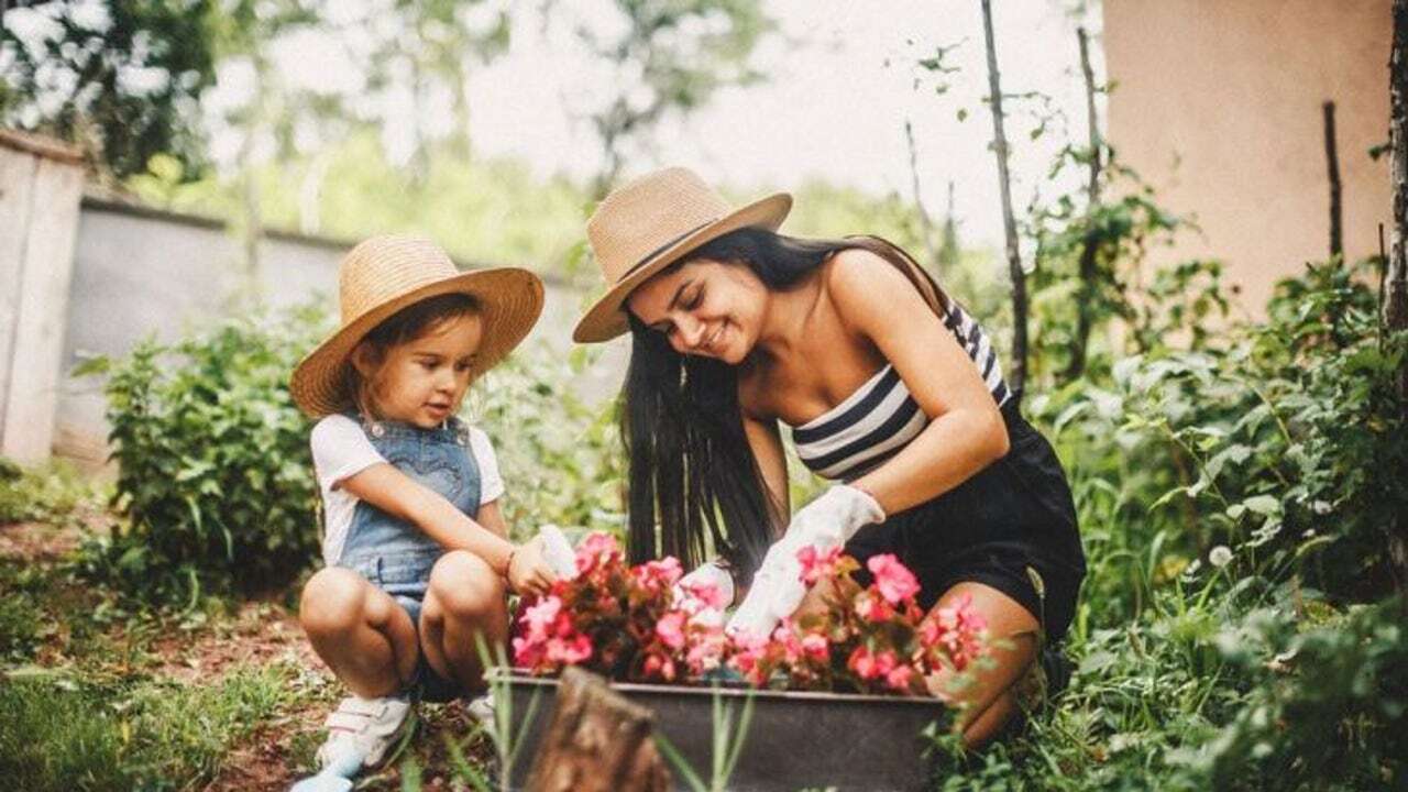 El abono que conseguirá revivir y fortalecer tus plantas: descubre cómo fabricarlo en casa de forma muy sencilla