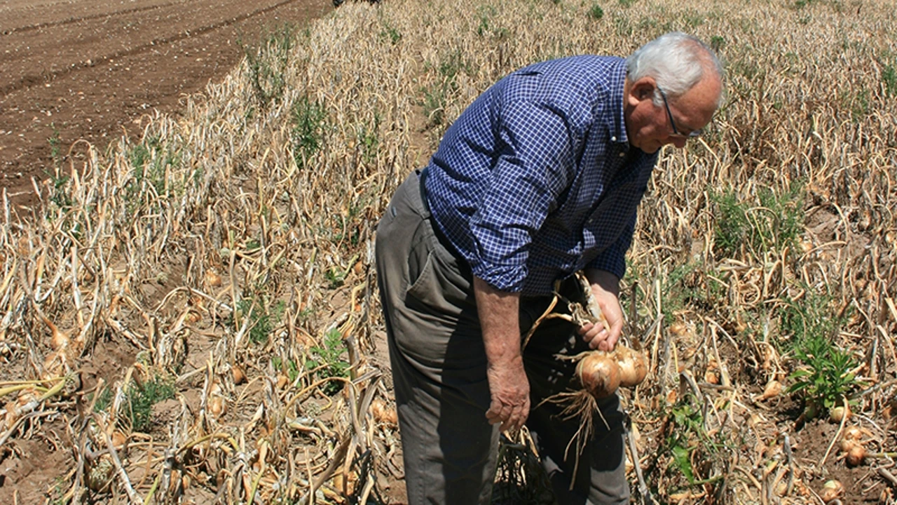 ¿A qué edad se pueden jubilar los agricultores?