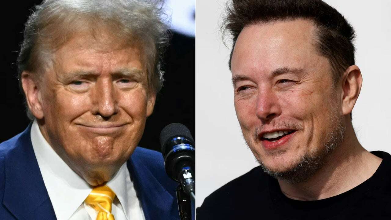 Desde Elon Musk hasta Anuel AA: estos son los famosos que apoyan a Trump