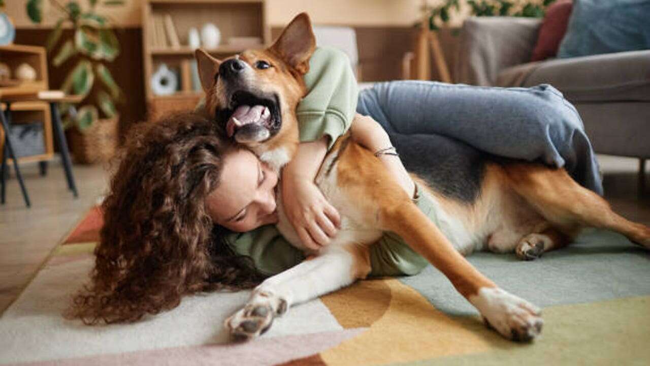 Hacienda revela el dinero que te pueden devolver si tienes perro o gato como mascota