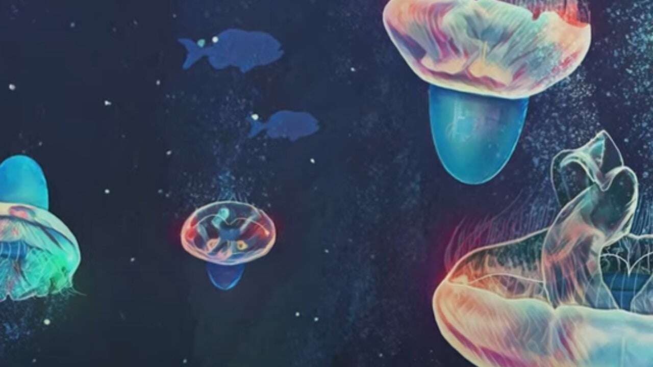 Medusas: ellas serán los próximos exploradores de los océanos de otros planetas