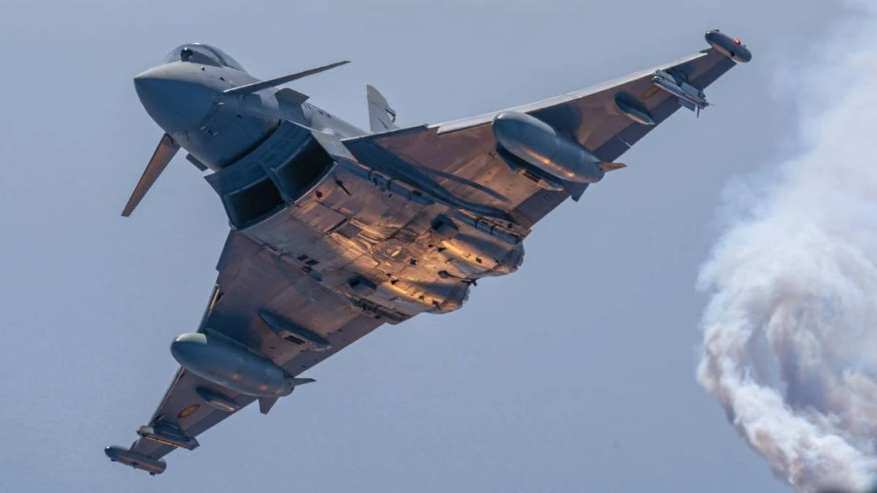 Captan la secuencia completa del choque de una gaviota contra la cabina de un Eurofighter español