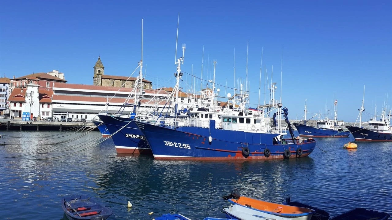 Londres concede a los pescadores de UE acceso a aguas británicas durante 12 años