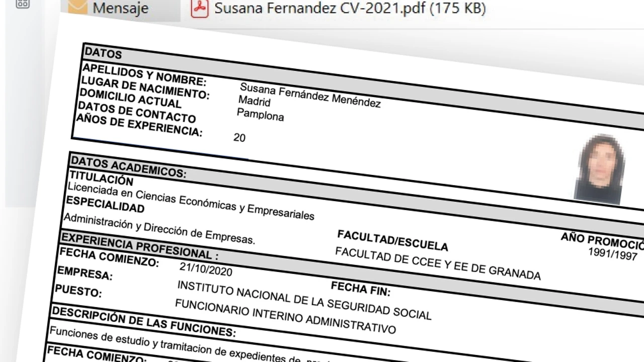 Un correo de Koldo desvela maniobras para enchufar a la mujer del exjefe de Acciona antes de su cese