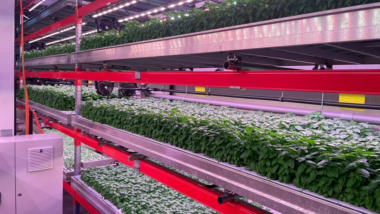 Néboda cierra una ronda de 1,84 millones de euros para escalar su modelo de agricultura vertical industrial