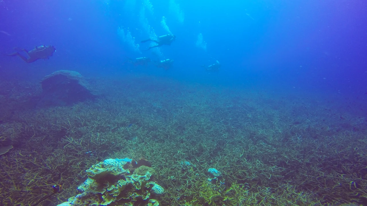 Durante milenios, los terremotos nos han aterrado, pero en el fondo submarino sirven como una batería para la vida
