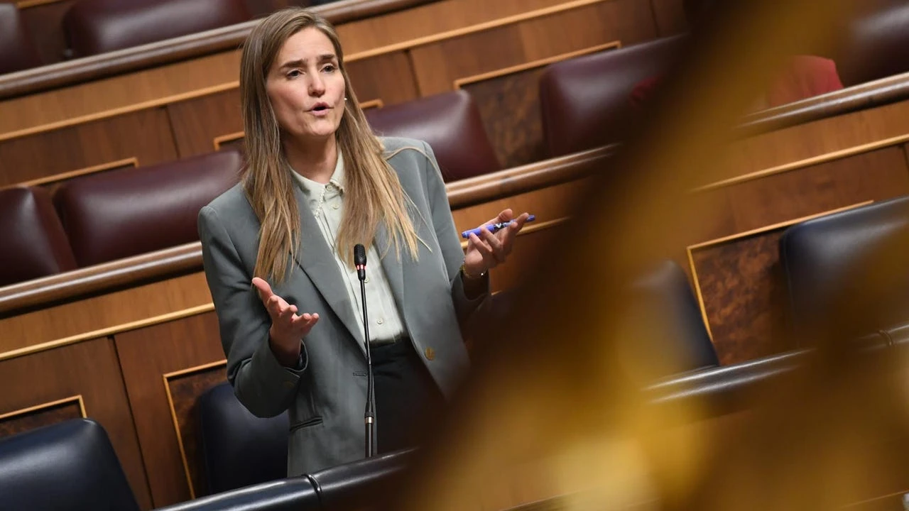 Gran Apagón, cuatro vías de investigación y ninguna respuesta