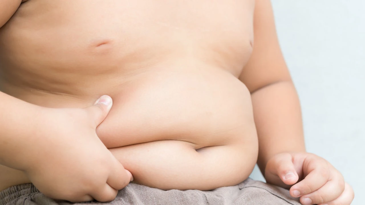 Científicos españoles descubren por qué la obesidad puede desencadenar un tumor de colon: la clave está en la microbiota