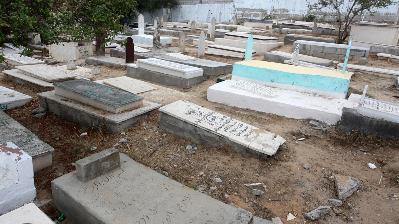 Pensó que había alquilado una ganga… hasta que descubrió quiénes eran sus “vecinos”