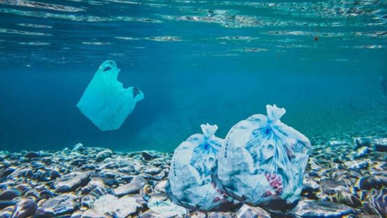 Relacionan los microplásticos en el mar con un mayor riesgo de discapacidad neurológica en residentes de zonas costeras