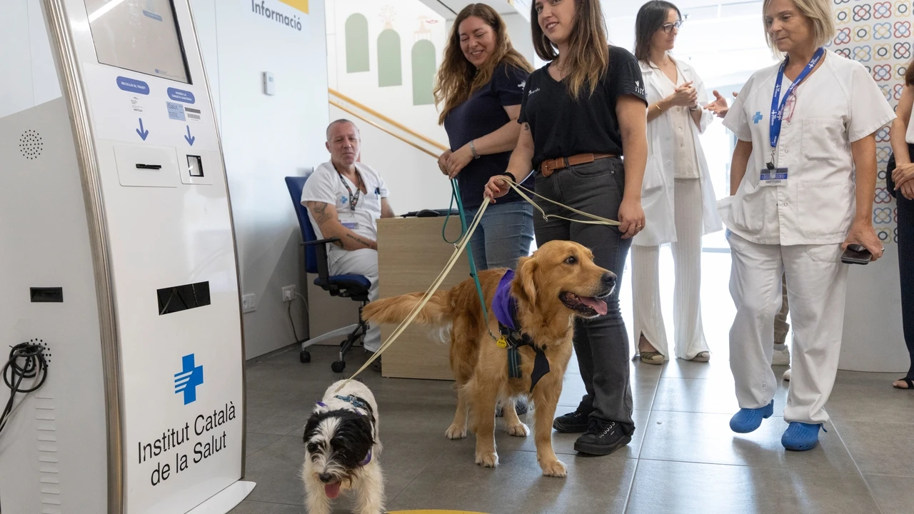 Convivir con perros favorece el bienestar emocional y la salud física de los niños