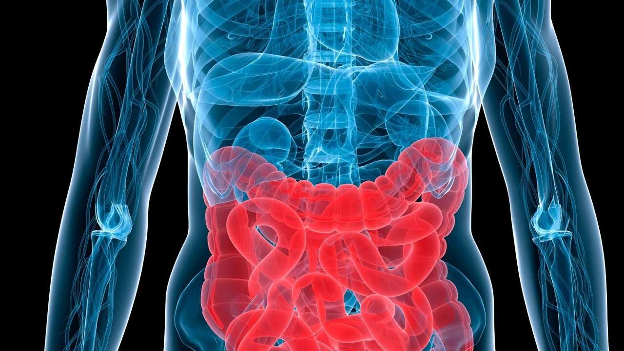 Logran tratar mejor el VIH con trasplantes de microbiota fecal