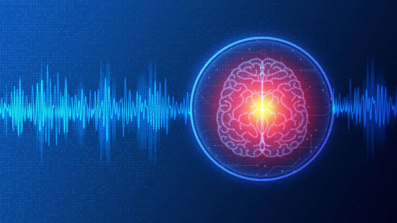 Logran revivir un cerebro tras 50 minutos sin oxígeno