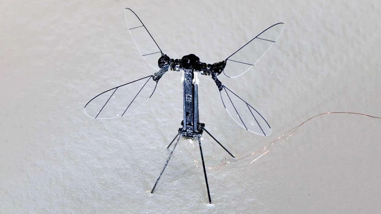 El ejército chino presenta un dron del tamaño de un mosquito: podría ser clave para las operaciones militares
