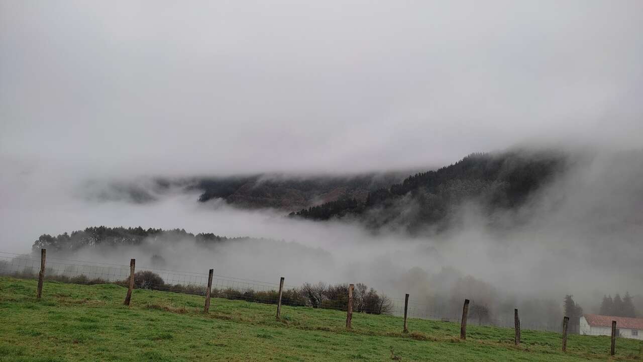 Registradas 255 incidencias por el fuerte viento en Euskadi desde medianoche