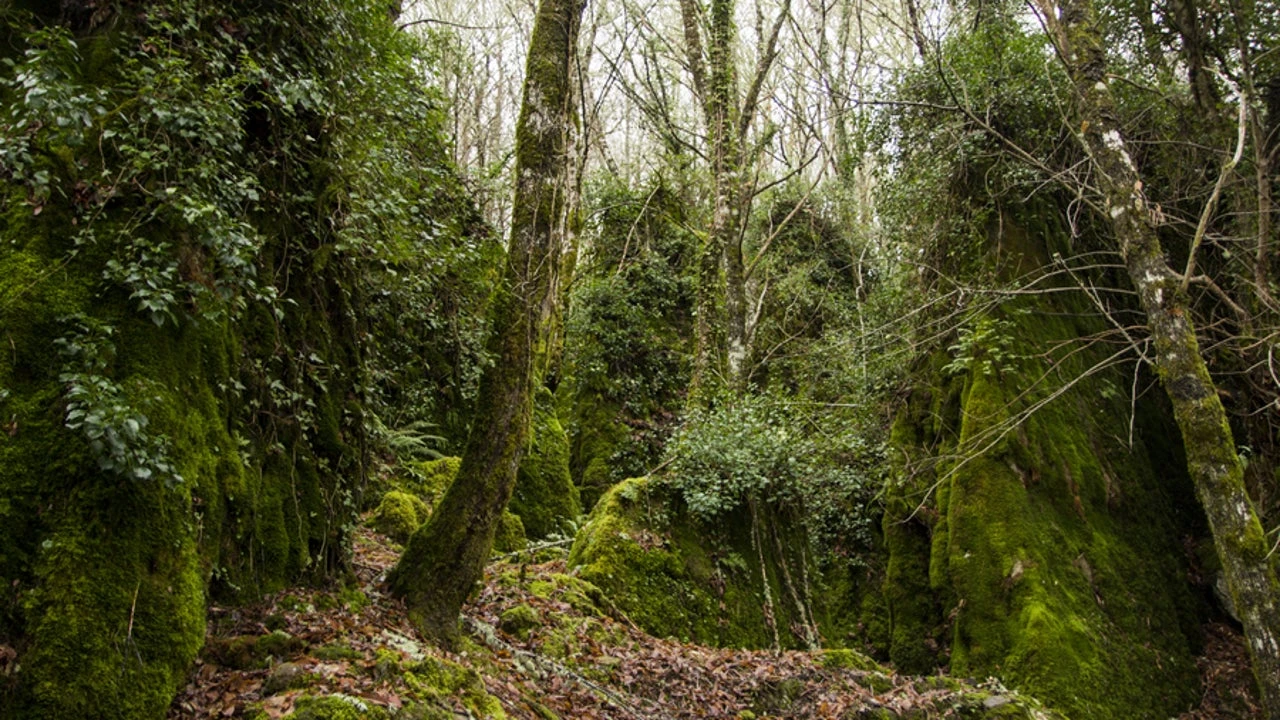Un explorador se adentra en el bosque y encuentra una ciudad congelada en los años 90: parece una serie postapocalíptica, pero es real