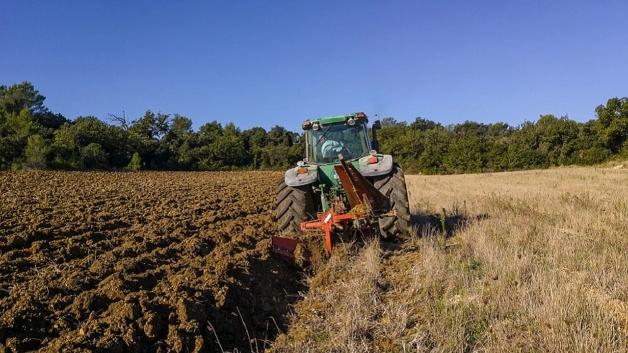 Un joven de 18 años destroza con un tractor la muralla de un castillo alemán del siglo XVIII
